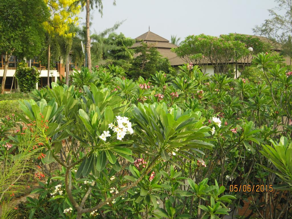 Aye Yar River View Resort Bagan Exterior photo